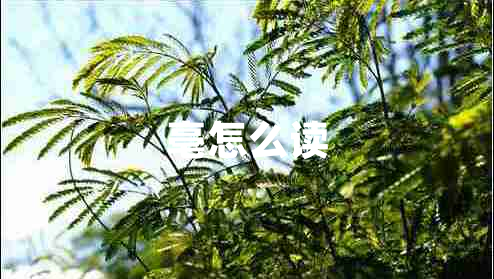 亳怎么讀 亳怎么讀