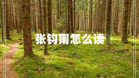 張鈞甯怎么讀 張鈞甯怎么讀