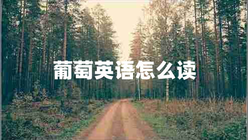 葡萄英語怎么讀 葡萄英語怎么讀