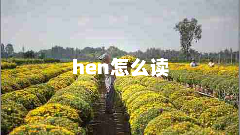 hen怎么讀