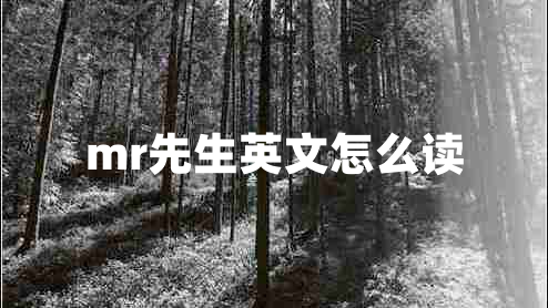 mr先生英文怎么讀