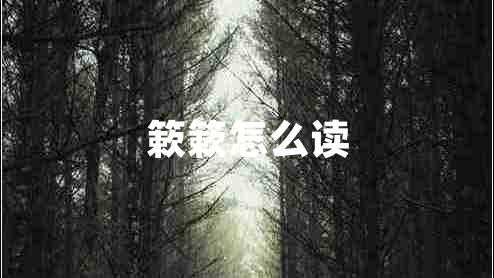 簌簌怎么讀 簌簌怎么讀