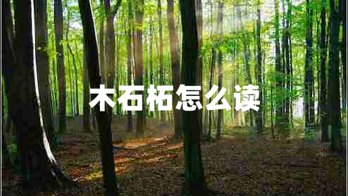 木石柘怎么讀 木石柘怎么讀