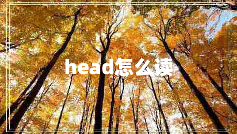 head怎么讀 head怎么讀