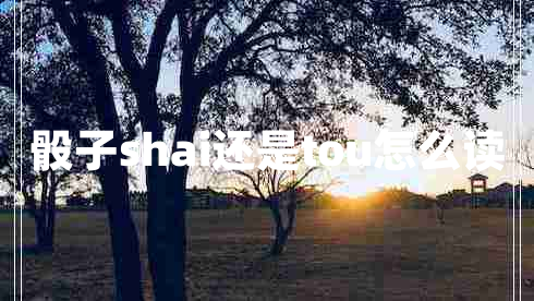 骰子shai還是tou怎么讀