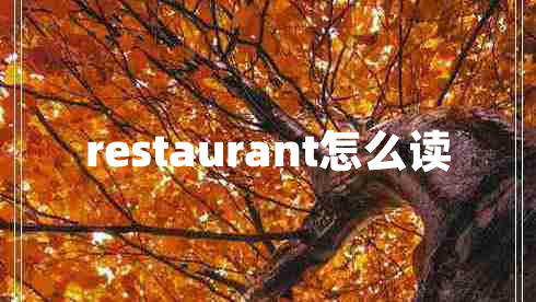restaurant怎么讀