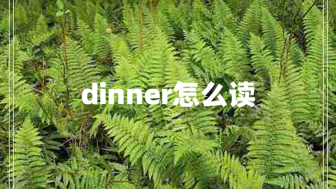 dinner怎么讀