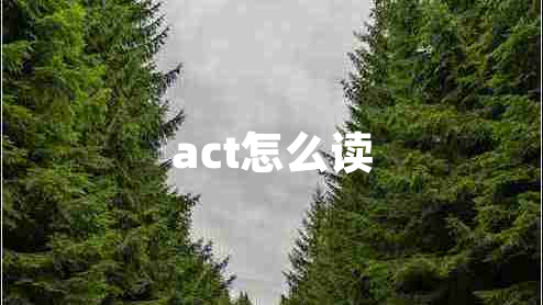 act怎么讀