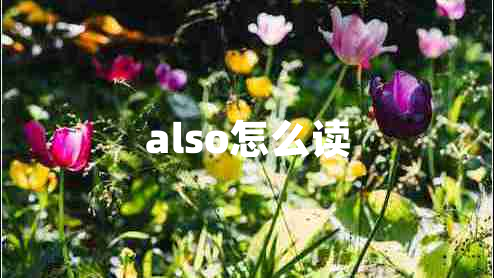 also怎么讀