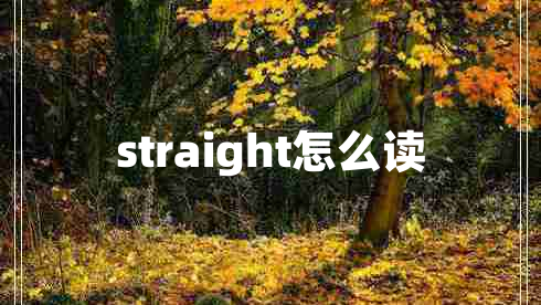 straight怎么讀