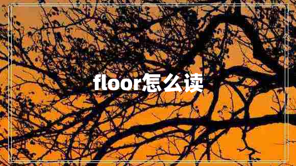 floor怎么讀 floor怎么讀