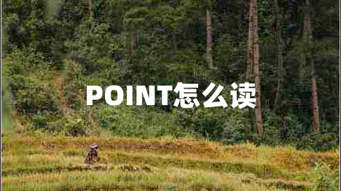 POINT怎么讀