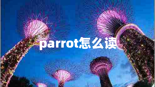 parrot怎么讀