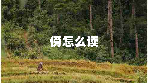 傍怎么讀 傍怎么讀