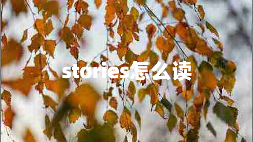 stories怎么讀 stories怎么讀