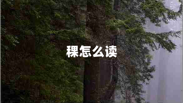 稞怎么讀 稞怎么讀