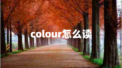 colour怎么讀