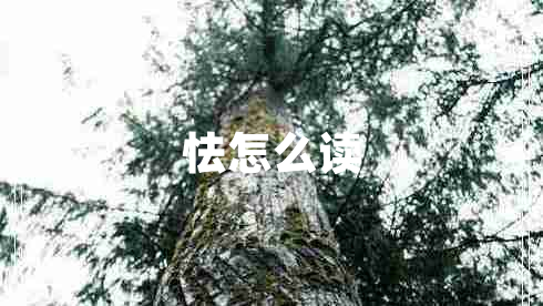 怯怎么讀 怯怎么讀