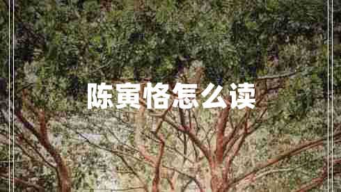 陳寅恪怎么讀 陳寅恪怎么讀