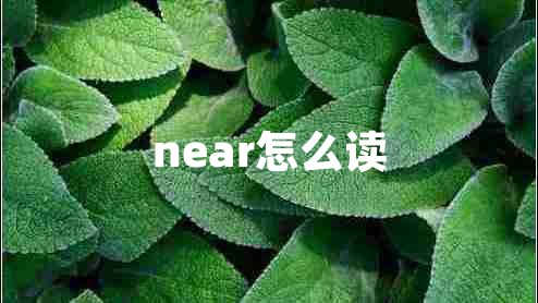 near怎么讀