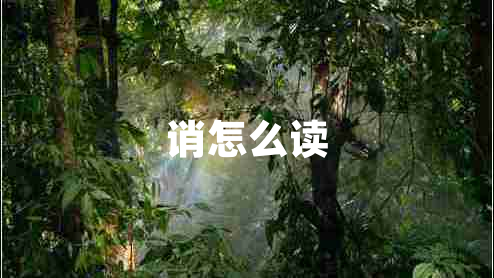 誚怎么讀