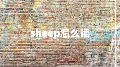 sheep怎么讀
