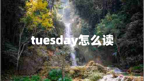 tuesday怎么讀