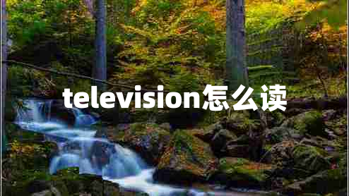television怎么讀 television怎么讀