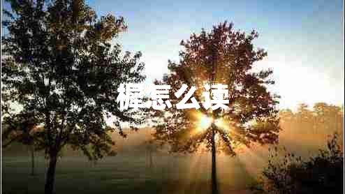 樨怎么讀 樨怎么讀