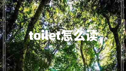 toilet怎么讀