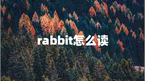 rabbit怎么讀
