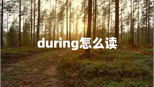 during怎么讀 during怎么讀