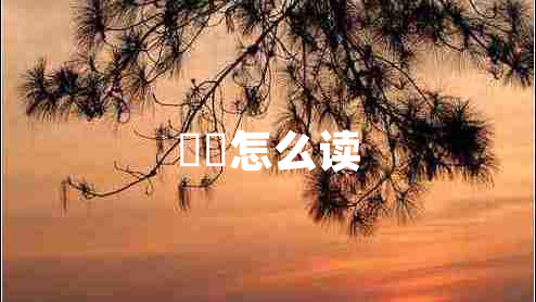 鹡鸰怎么讀 鹡鸰怎么讀