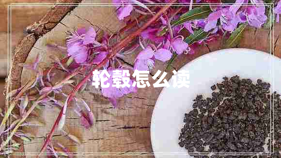 輪轂怎么讀 輪轂怎么讀