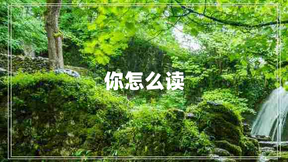 你怎么讀