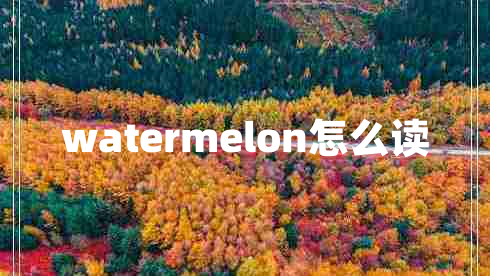 watermelon怎么讀