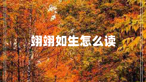 翊翊如生怎么讀 翊翊如生怎么讀