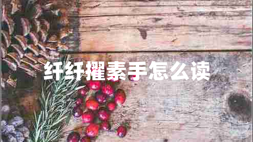 纖纖擢素手怎么讀