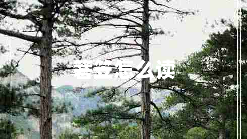 箬笠怎么讀 箬笠怎么讀