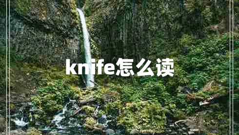 knife怎么讀