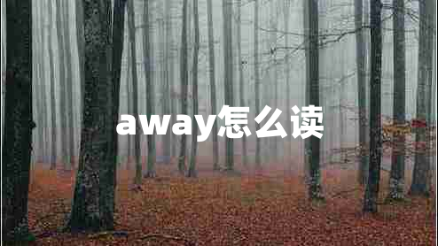 away怎么讀