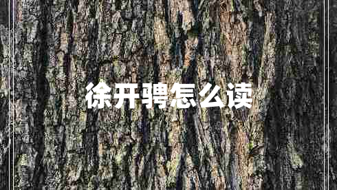 徐開(kāi)騁怎么讀