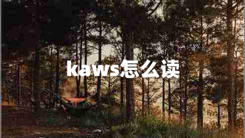 kaws怎么讀