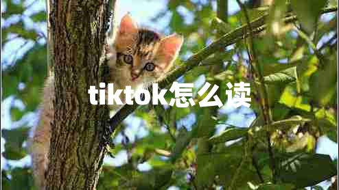 tiktok怎么讀