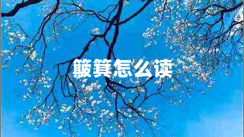 簸箕怎么讀 簸箕怎么讀