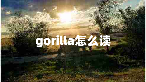 gorilla怎么讀