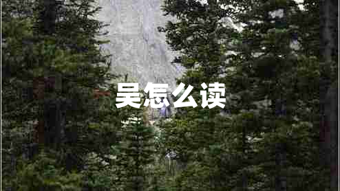 吳怎么讀 吳怎么讀