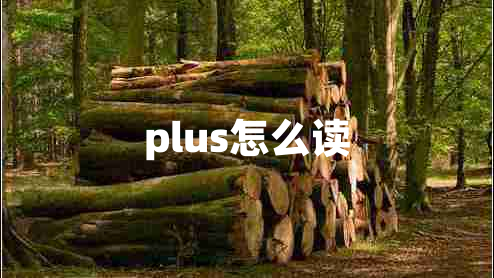 plus怎么讀