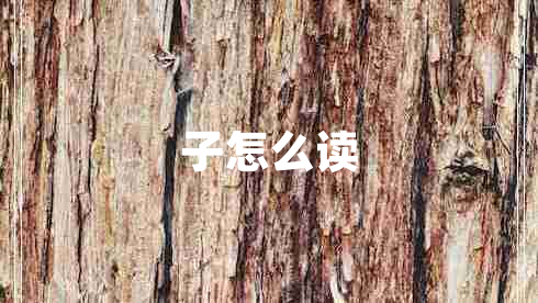 子怎么讀