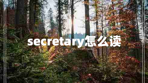 secretary怎么讀
